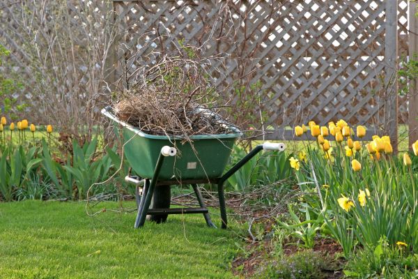 Flower Bed Cleanup Service in Pasco