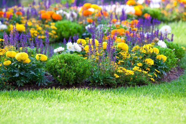 Flower Bed Maintenance in Pasco