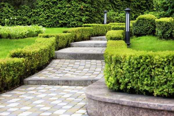 Backyard Remodeling in Pasco