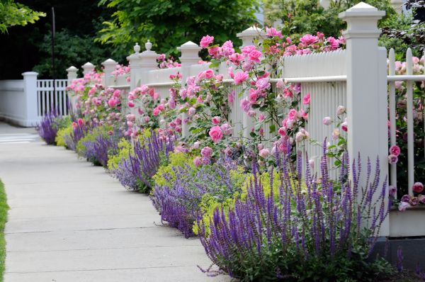 Garden Handyman Service in Pasco