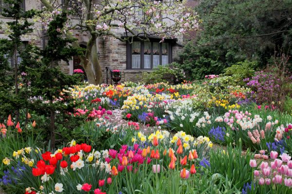 Garden Maintenance Service in Pasco
