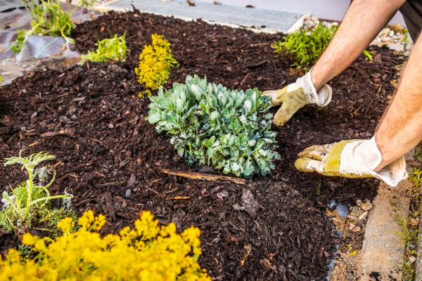 Weeding And Mulching in Pasco