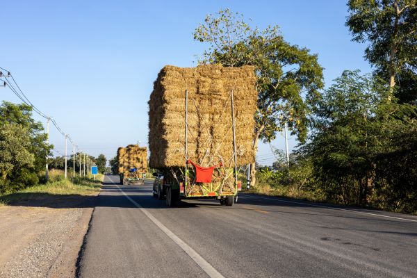 Pine Straw Delivery in Pasco