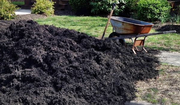 Black Mulch Delivery in Pasco