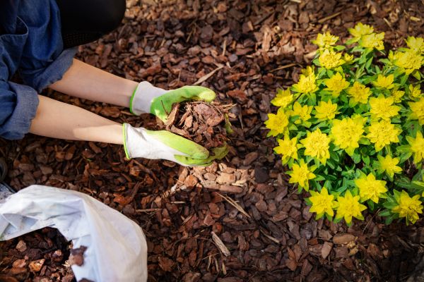 Garden Mulching in Pasco