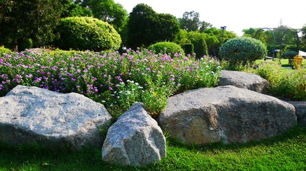 Boulder Landscaping in Pasco