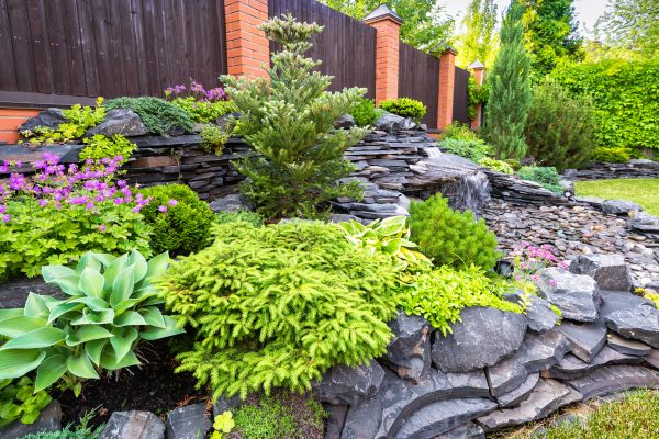 Landscape Remodeling in Pasco