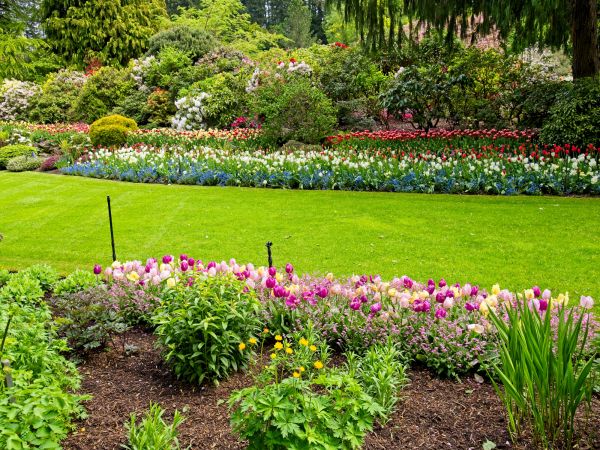 Residential Landscape Design in Pasco