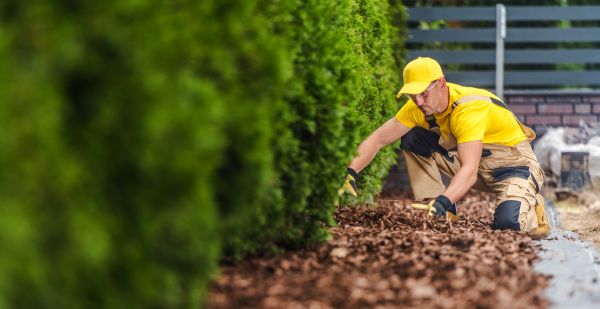 Cypress Mulch Installation in Pasco