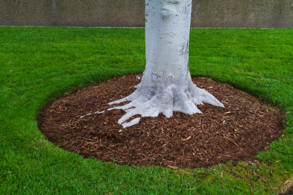Brown Mulch Installation in Pasco