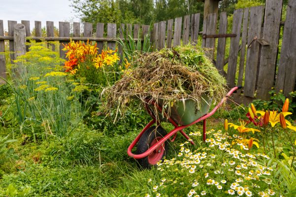 Garden Cleanup Service in Pasco