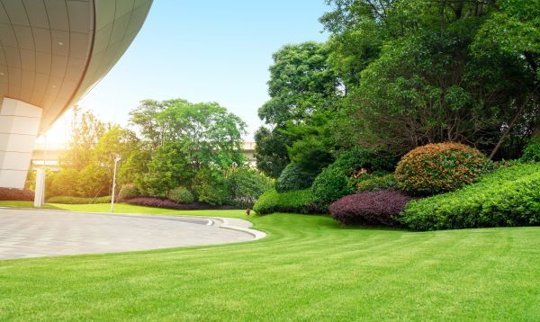 Business Landscape Design in Pasco