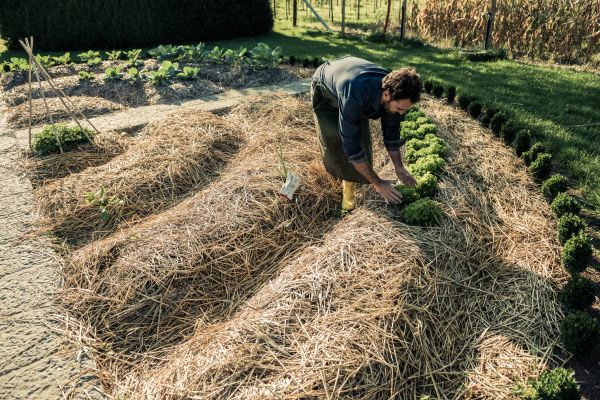 Straw Mulching Service in Pasco