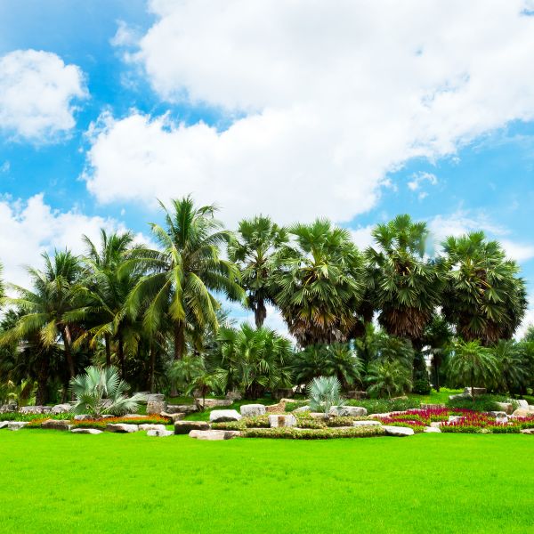 Tropical Landscaping in Pasco