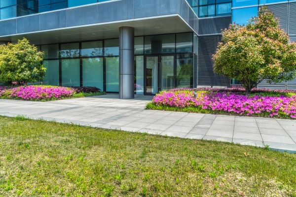 Office Landscaping Design in Pasco