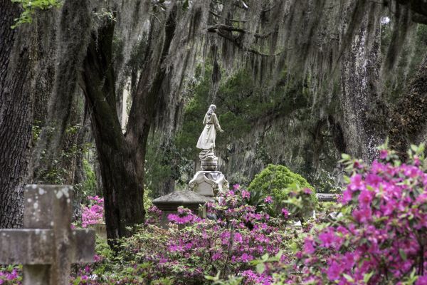 Cemetery Landscaping in Pasco