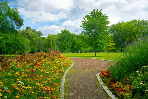 Park Landscaping in Pasco