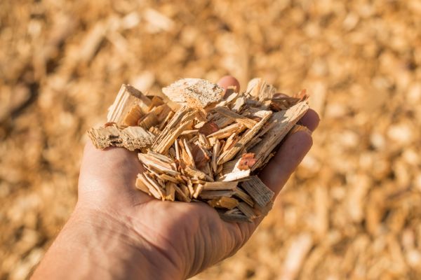 Wood Chips Spreading in Pasco