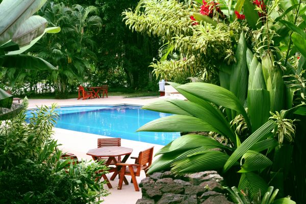 Pool Area Landscaping in Pasco