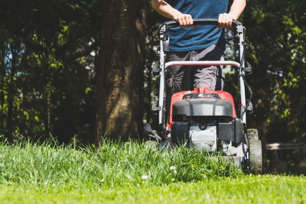Garden Trimming Service in Pasco
