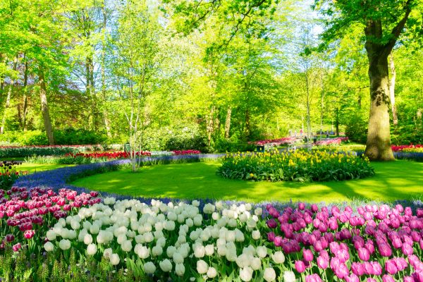 Flower Landscaping in Pasco