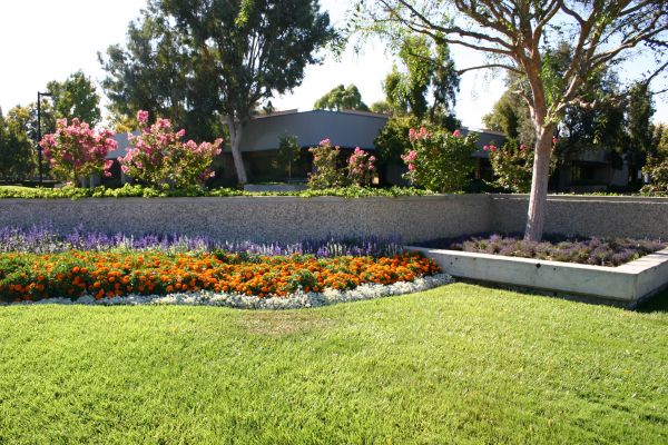 Commercial Landscape Service in Pasco