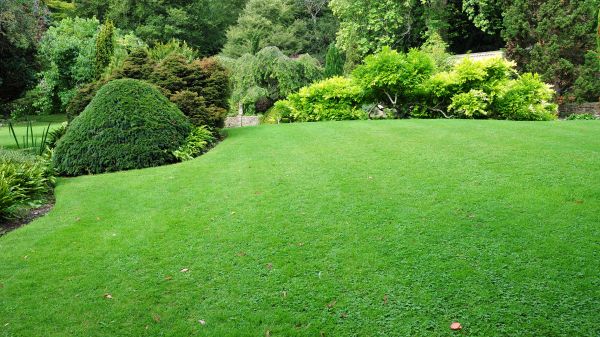 Commercial Landscape Design in Pasco