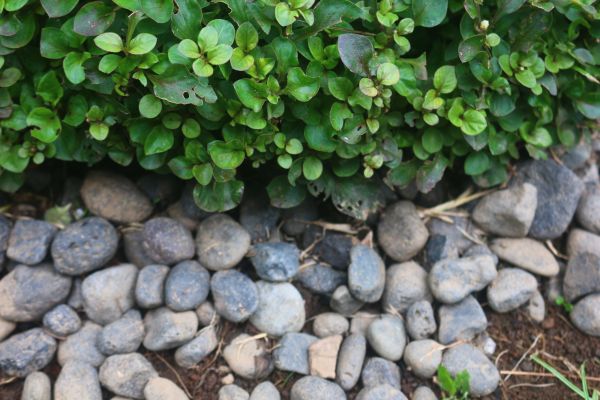 River Stone Installation in Pasco