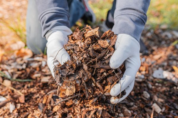 Shredded Mulch Installation in Pasco