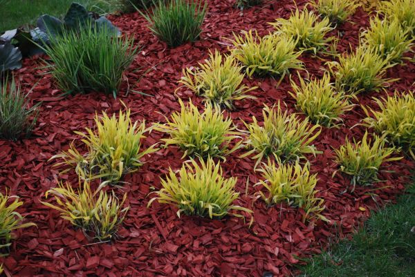 Red Mulch Installation in Pasco