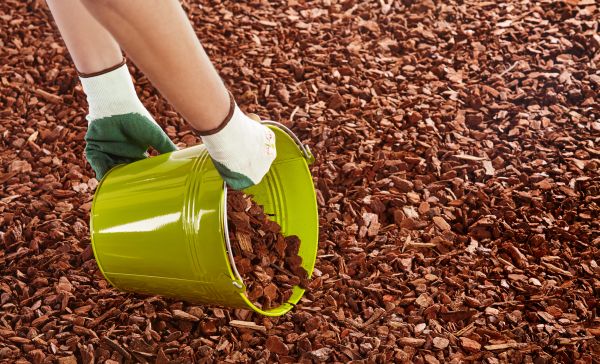 Wood Chip Landscaping in Pasco