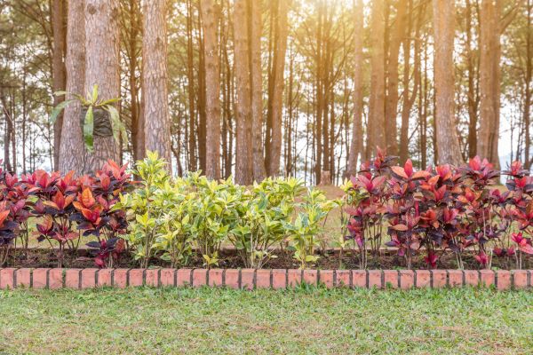 Small Garden Landscaping in Pasco