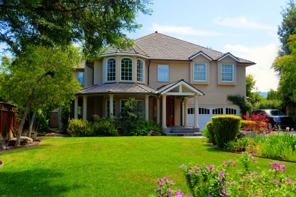 Large Yard Landscaping in Pasco