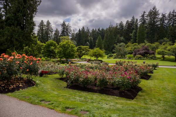 Flower Garden Landscaping in Pasco