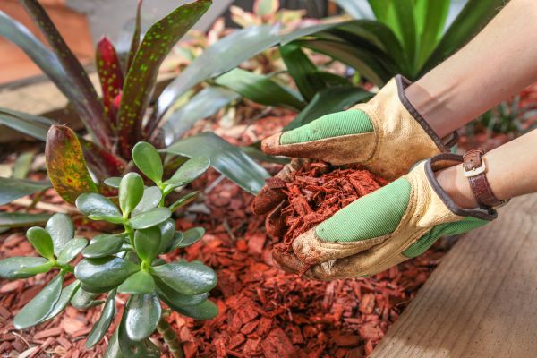 Cedar Mulch Installation in Pasco