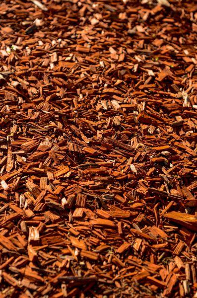 Cedar Mulch Spreading in Pasco