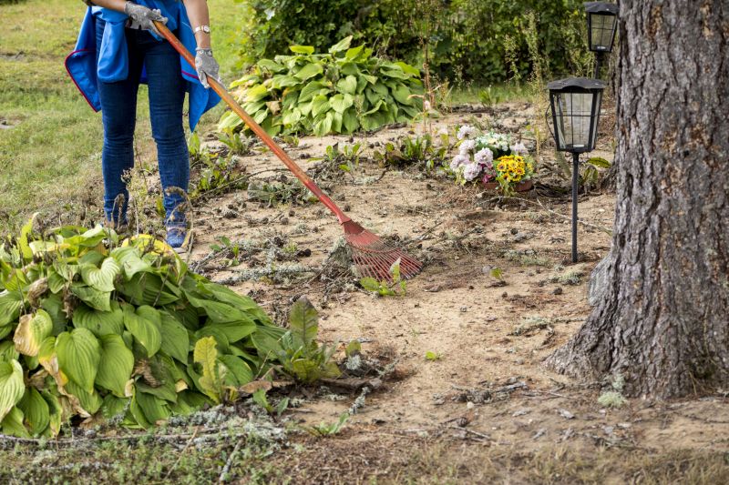 Garden Cleanup Service
